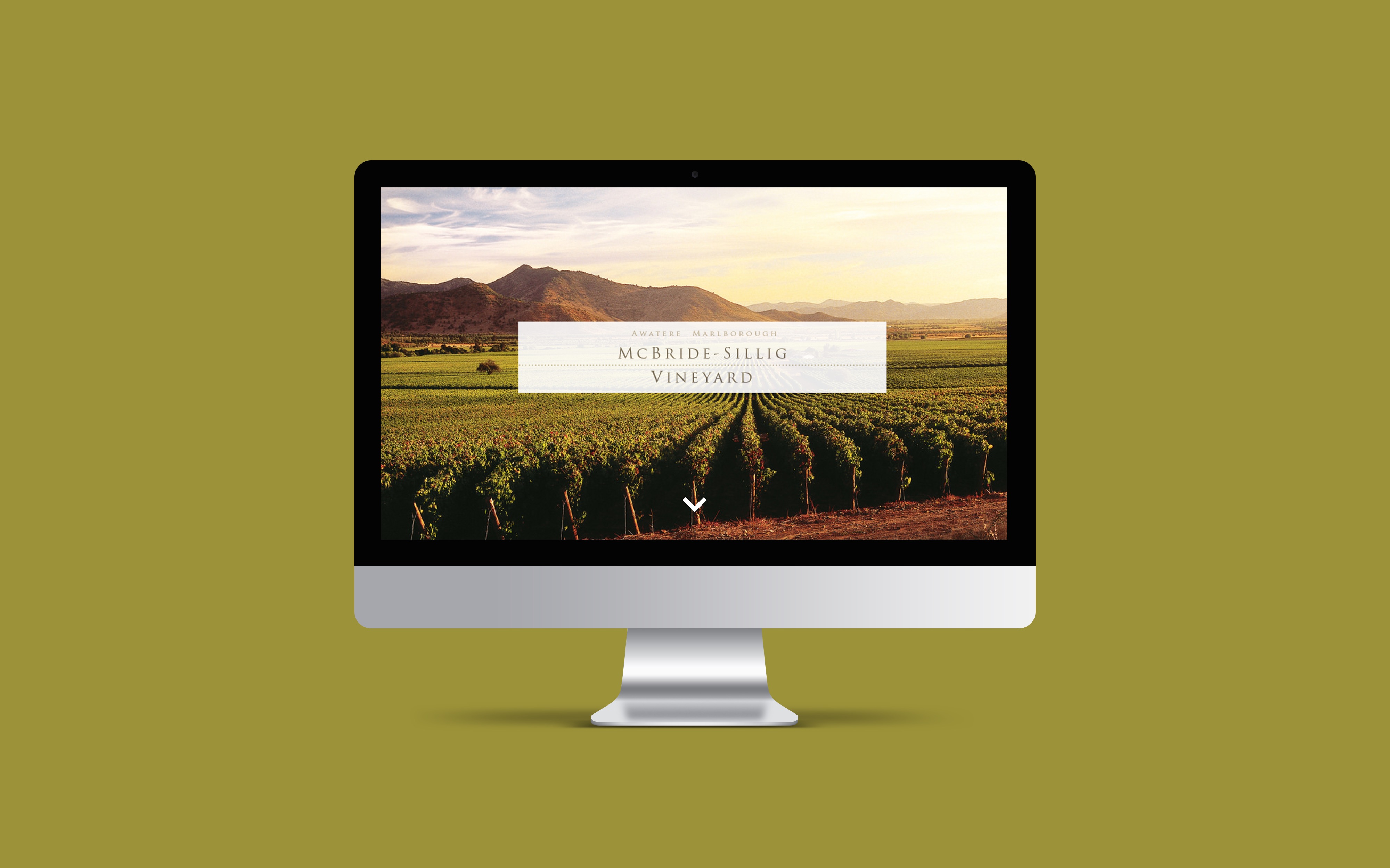 McBride Sillis Vineyard Website
