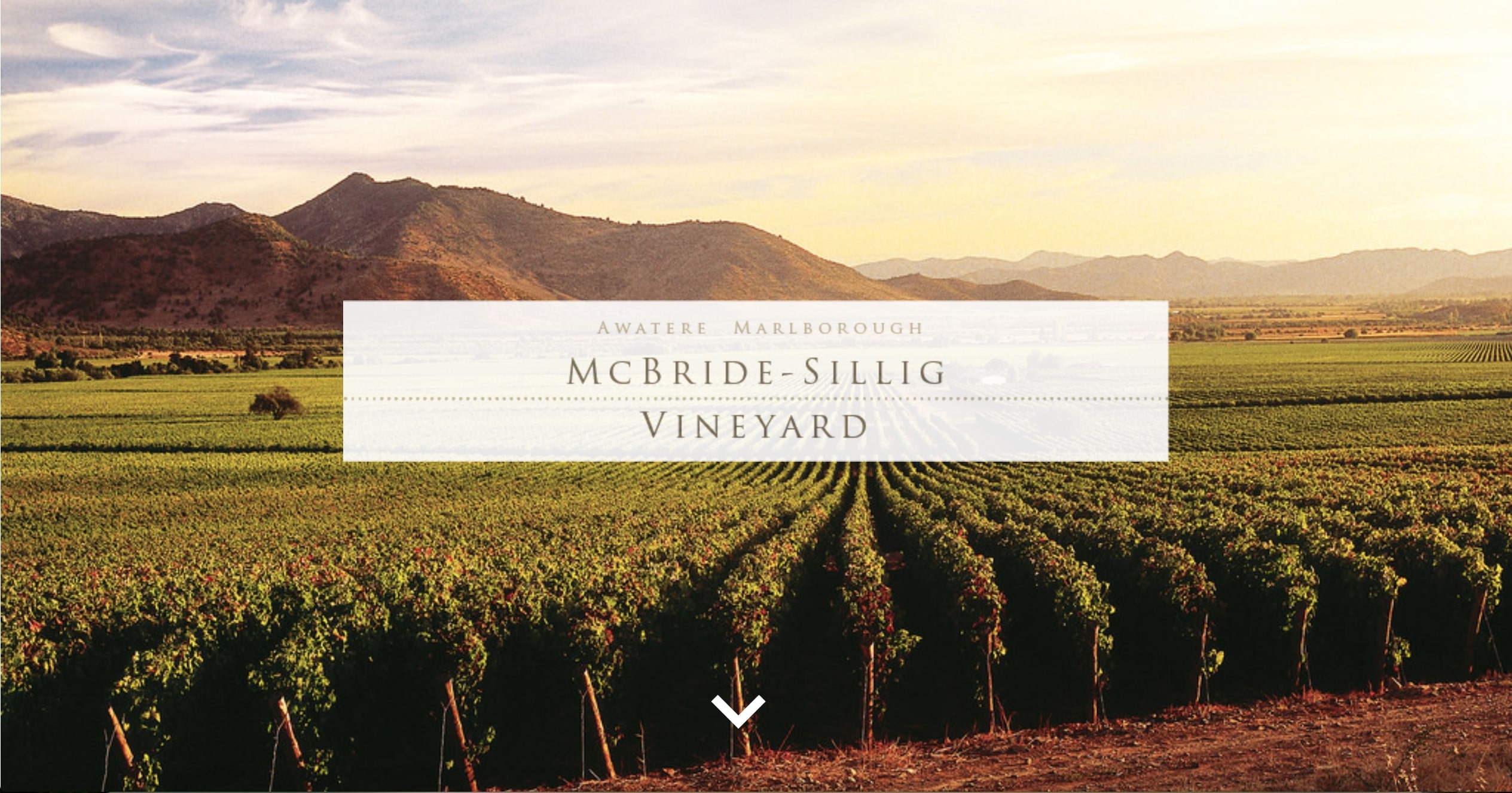 McBride-Sillig Home